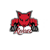 Redcat Racing Spares