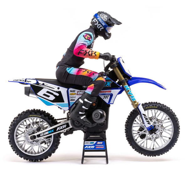 LOSI Promoto-MX Blue RC Motorcycle RTR ClubMX Racing Scheme 1:4 - LOS06000T2