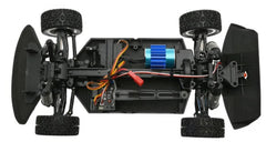 UDI 1:16  Amphicyon 3900kv 3-Speed Brushless Car with 2.4Ghz Radio, Lights, Battery & Charger - UDI-UD1607-PRO