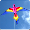 WINDSPEED Lorikeet Single Line Kite - WS883