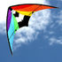 WINDSPEED Stuntmaster Sports Kite - WS893