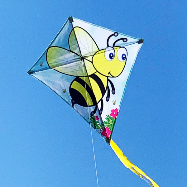 WINDSPEED Bumble Bee Single Line Kite - WS884