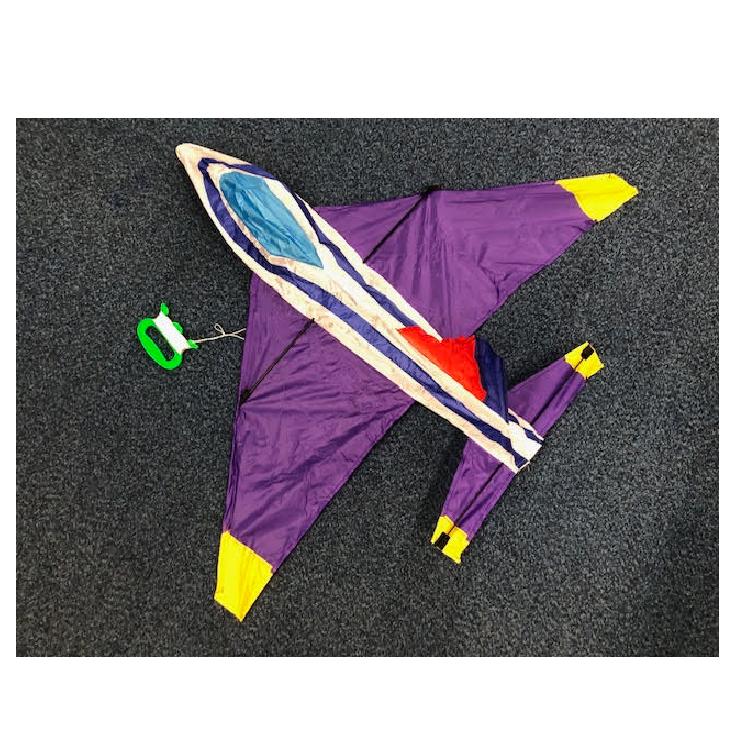 WINDSPEED F16 Falcon Jet Single Line Kite - WS858