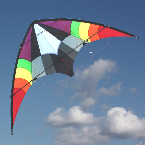 WINDSPEED Ikon Sports Dual Control Kite - WS7516