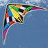 WINDSPEED Firestorm Sports Dual Control Kite - WS7518