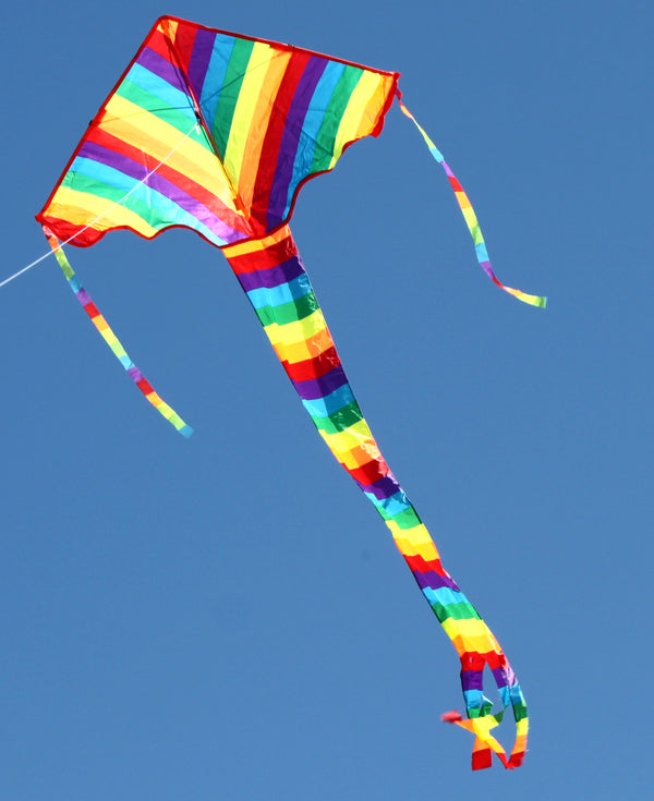 WINDSPEED Rainbow Delta Single Line Kite - WS882