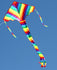 WINDSPEED Rainbow Delta Single Line Kite - WS882