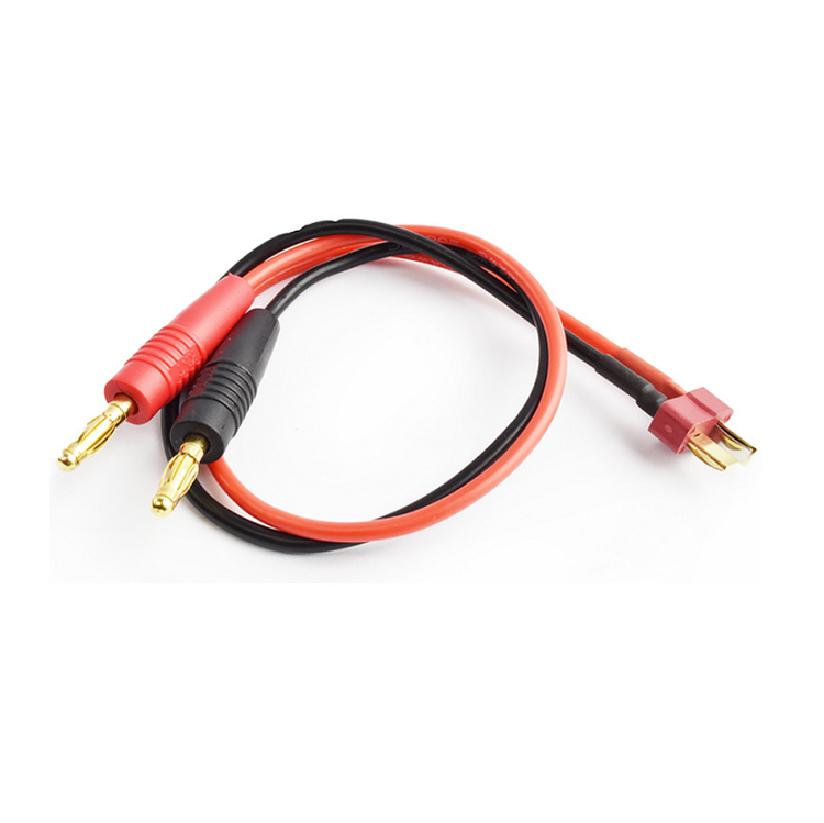 Charge Leads