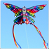 WINDSPEED Rainbow Butterfly Single Line Kite - WS7150