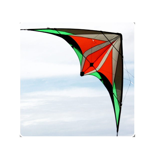 WINDSPEED Fluid Dual Control Performance Kite - WS7718