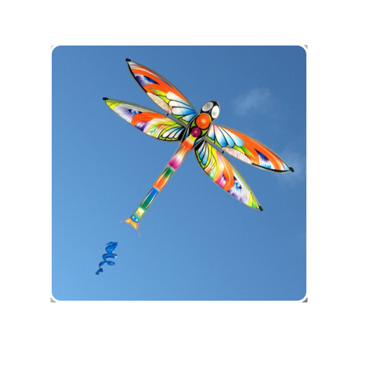 WINDSPEED Dragonfly Single Line Kite - WS864