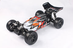 RIVERHOBBY SPIRIT 1:10 4WD Buggy with 2.4Ghz Radio, Battery and Charger - RH-1016