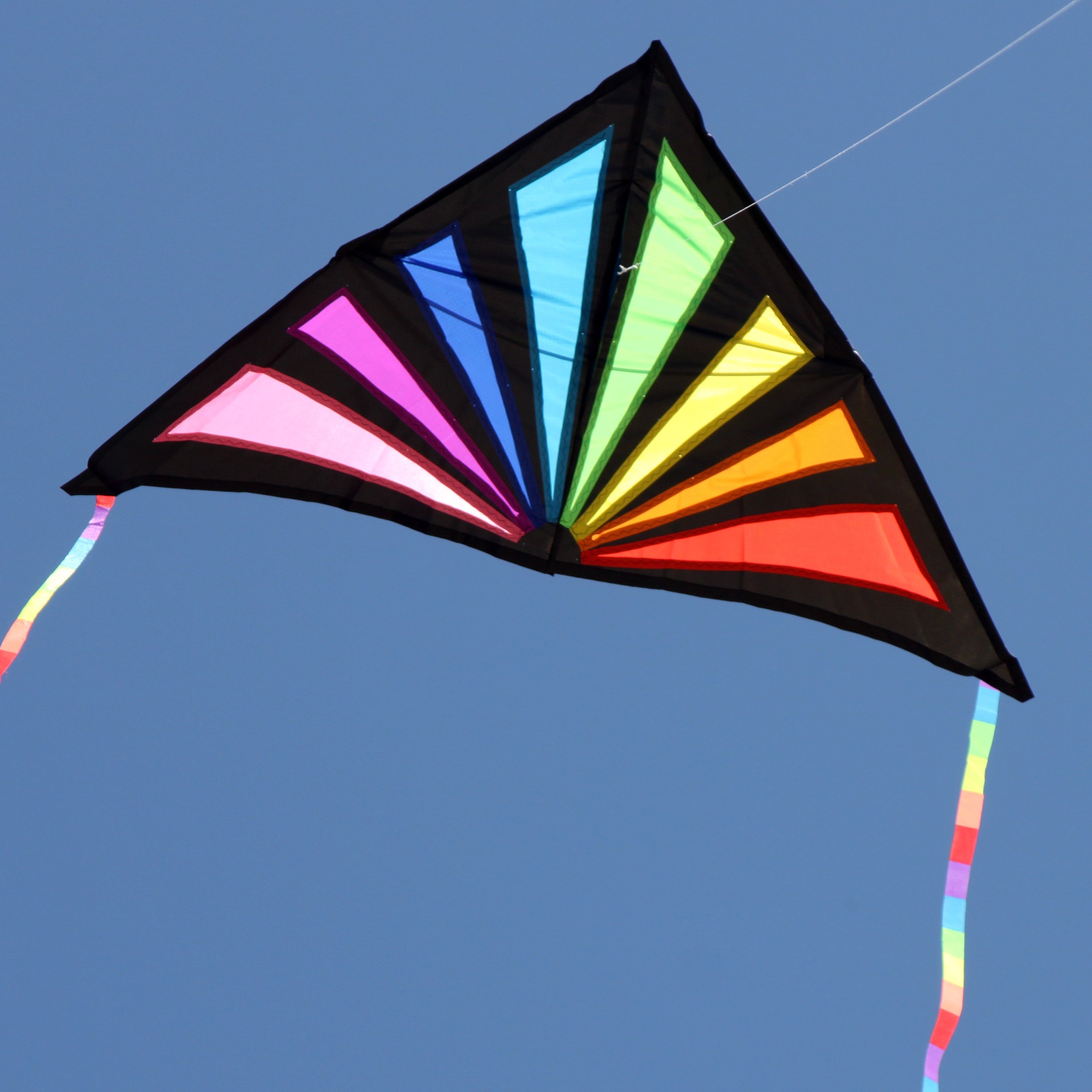 WINDSPEED Sunrise Delta Single Line Kite - WS7250 – RC Garage Hobby Shop
