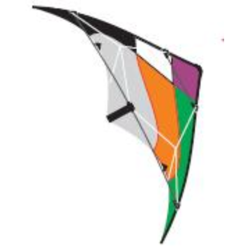 WINDSPEED Twister Dual Line Kite - WS7511