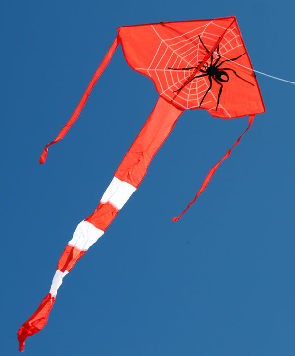 WINDSPEED Spider Delta Single Line Kite - WS831