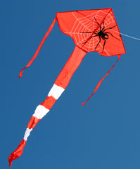 Windspeed Single Line Kite Spider Delta - WS831