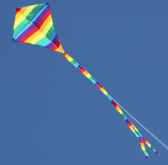 Windspeed Single Line Kite Small Diamond - WS881