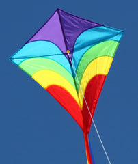 Windspeed Single Line Kite Waves Diamond - WS887
