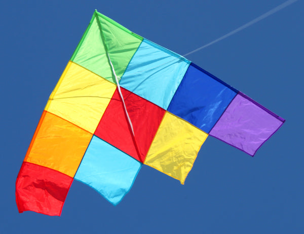 Windspeed Single Line Kite Patchwork Delta - WS888