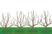 HORNBY DECIDUOUS 2.5in 4PKG - 8939