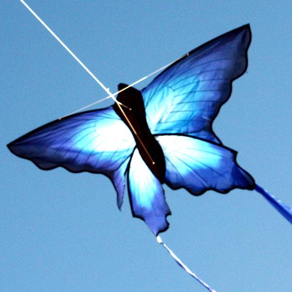 WINDSPEED Blue Ulysses Butterfly Single Line Kite - WS7160