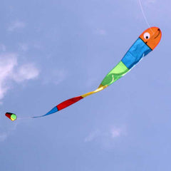 WINDSPEED Wilma the Worm Single Line Kite - WS815